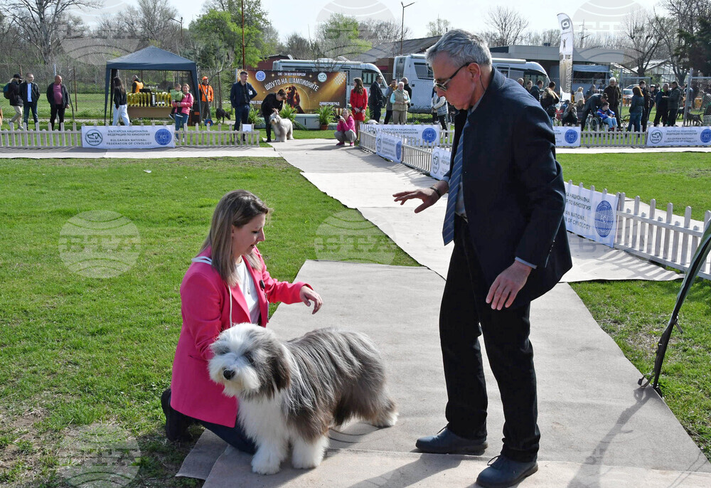 Димитровград - Киноложки център "Марица"- състезание