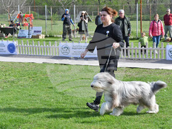 Димитровград - Киноложки център "Марица"- състезание