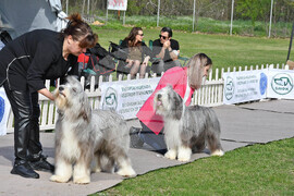Димитровград - Киноложки център "Марица"- състезание