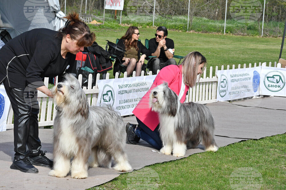 Димитровград - Киноложки център "Марица"- състезание