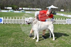 Димитровград - Киноложки център "Марица"- състезание