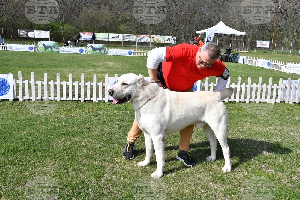 Димитровград - Киноложки център "Марица"- състезание