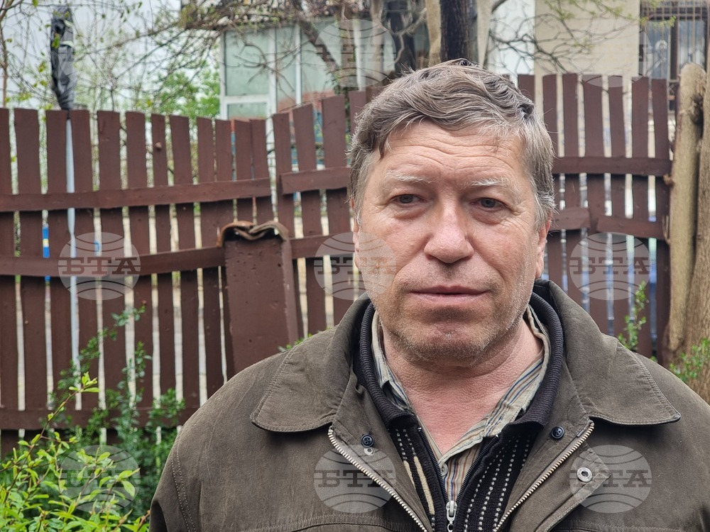 Пчеларите от региона на Кюстендил отчитат висока смъртност в пчелините си, настъпила през зимата