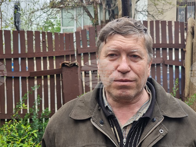 Пчеларите от региона на Кюстендил отчитат висока смъртност в пчелините си, настъпила през зимата