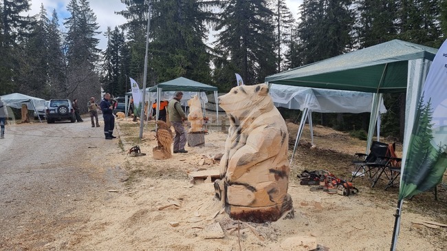 Plein Air Wood Carving Event Marks Forest Week in Pamporovo, Raises Funds for Sick Children