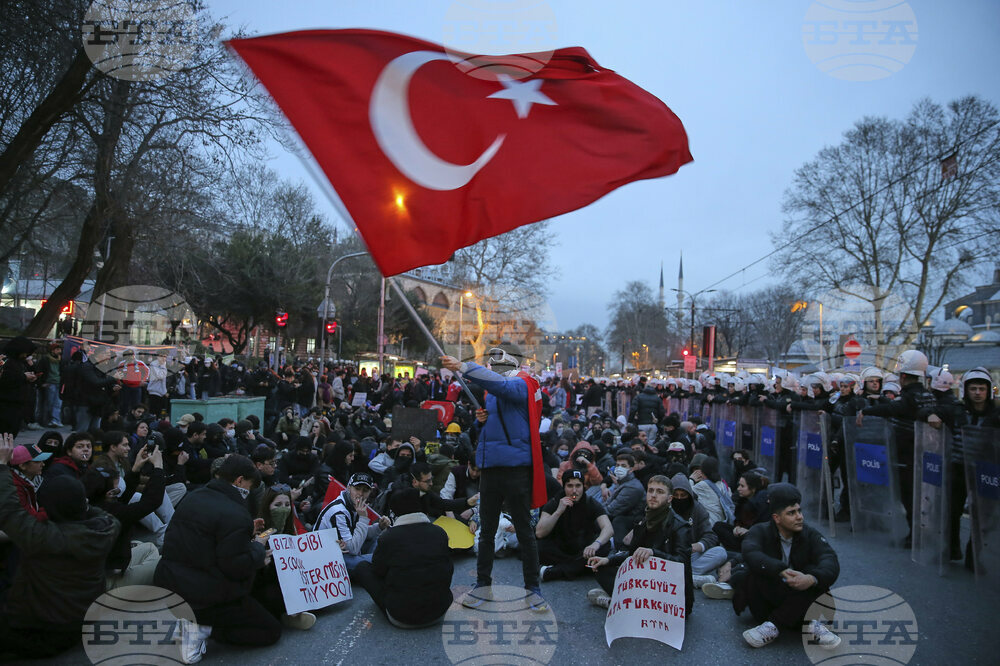 Turkey Protester Profiles