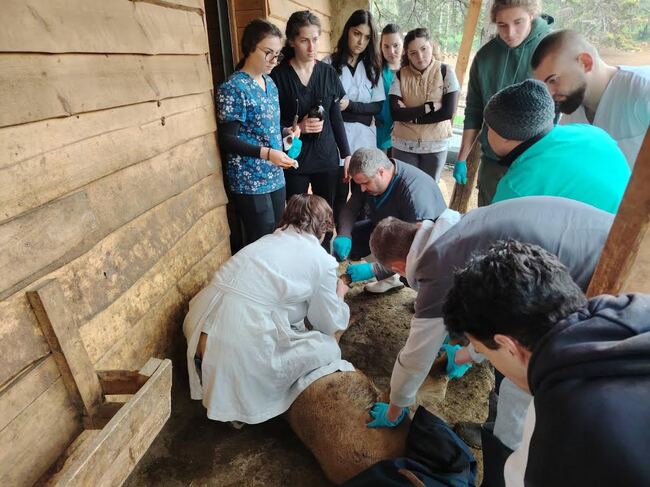 Бъдещи ветеринарни лекари проведоха практическо занятие в старозагорския зоопарк
