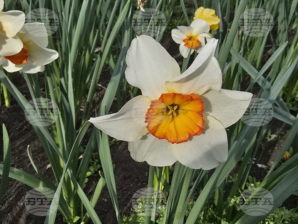 The Weather on April 17