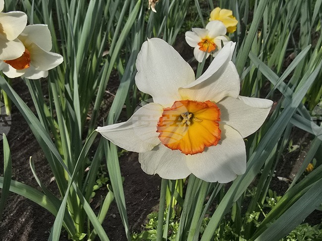 The Weather on April 17