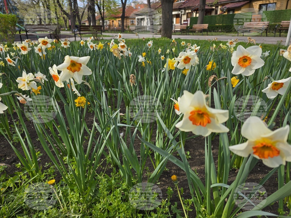 Прогноза за времето 