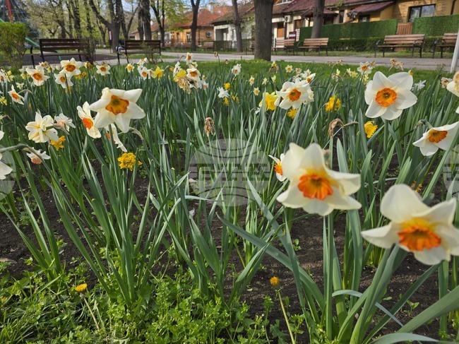 Прогноза за времето 