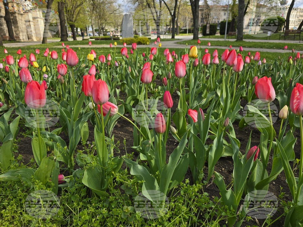 Прогноза за времето