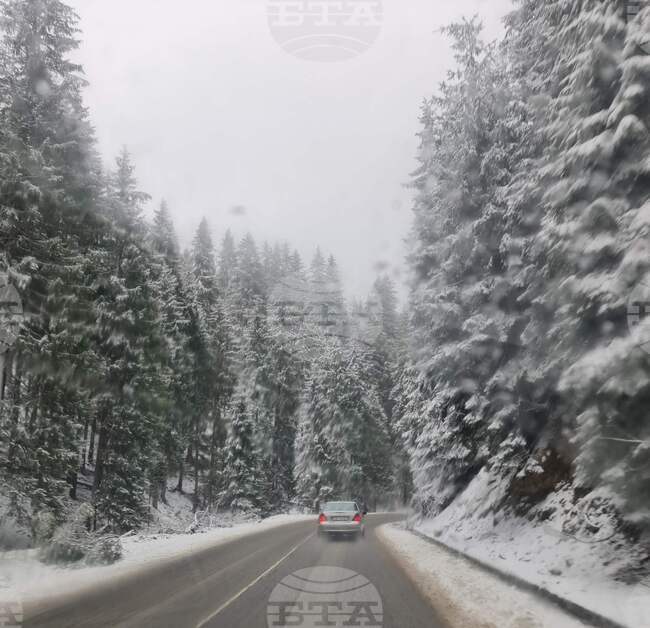 Сняг вали по високите части на област Смолян, снежната покривка е между 5 и 10 сантиметра