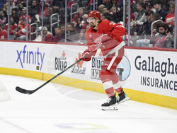 Panthers Red Wings Hockey