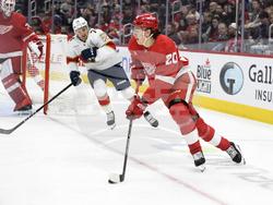 Panthers Red Wings Hockey