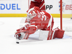 Panthers Red Wings Hockey