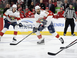 Panthers Red Wings Hockey