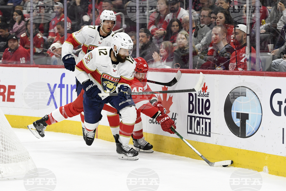 Panthers Red Wings Hockey