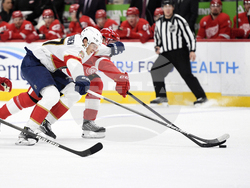 Panthers Red Wings Hockey