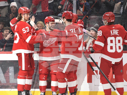 Panthers Red Wings Hockey