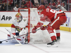 Panthers Red Wings Hockey