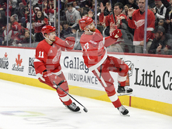 Panthers Red Wings Hockey