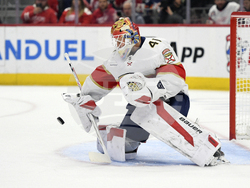 Panthers Red Wings Hockey