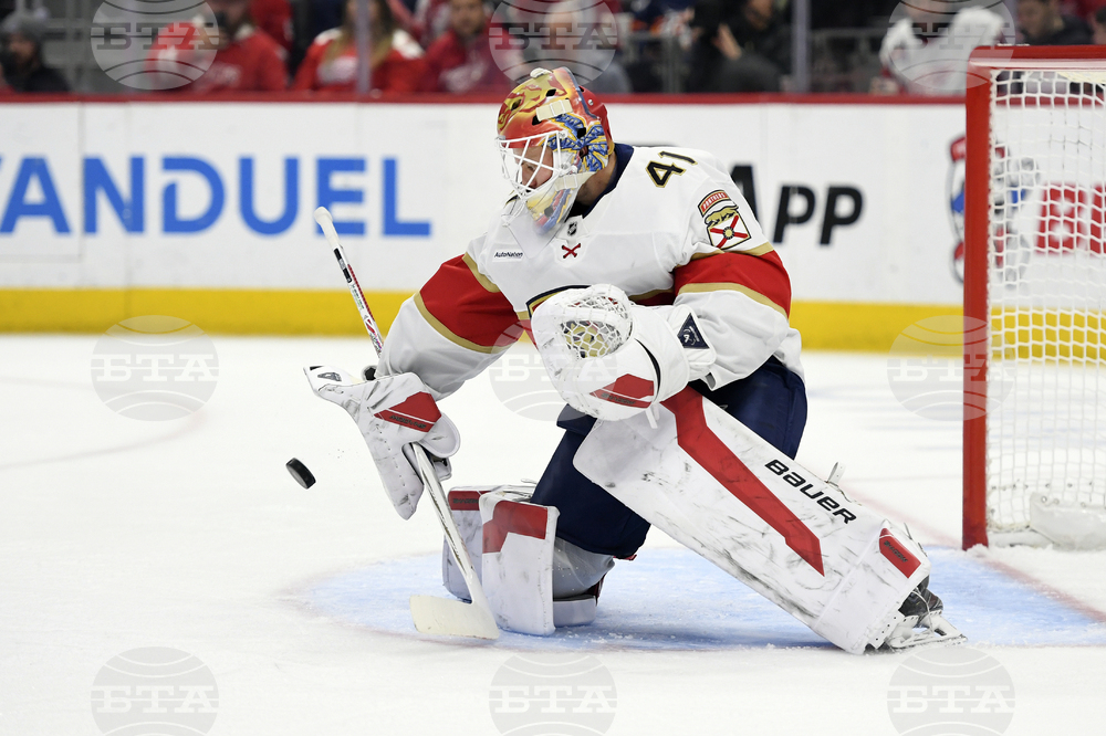 Panthers Red Wings Hockey