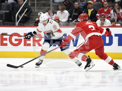 Panthers Red Wings Hockey