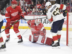 Panthers Red Wings Hockey