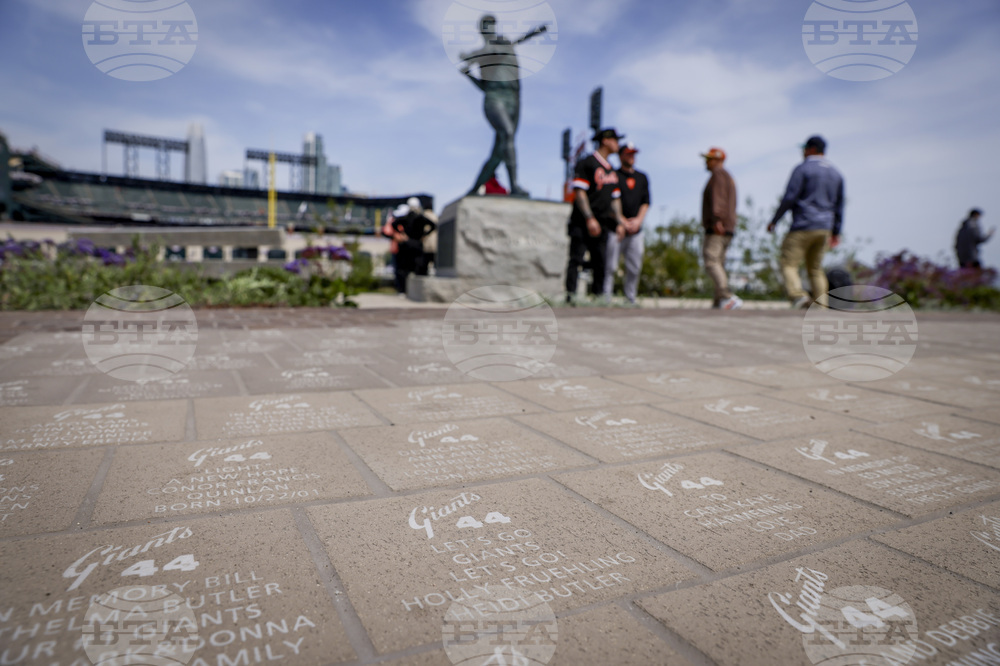 Giants Baseball