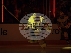 Golden Knights Canucks Hockey