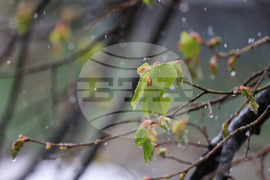 Бургас - снеговалеж