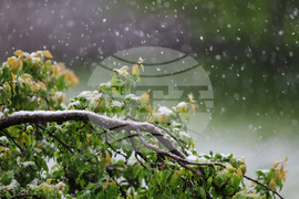 Бургас - снеговалеж