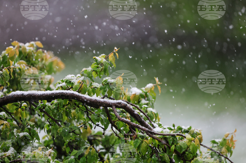 Бургас - снеговалеж