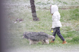 Бургас - снеговалеж