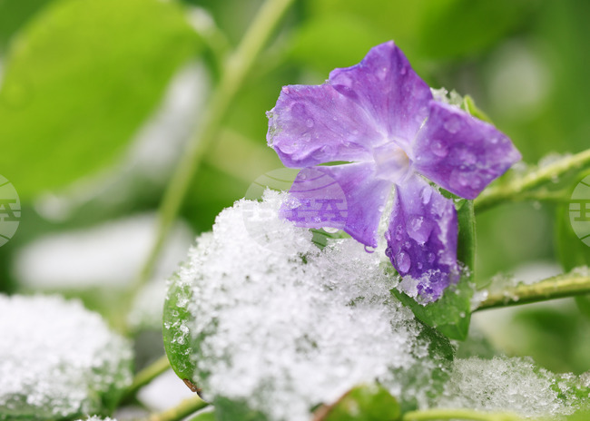 Бургас - снеговалеж