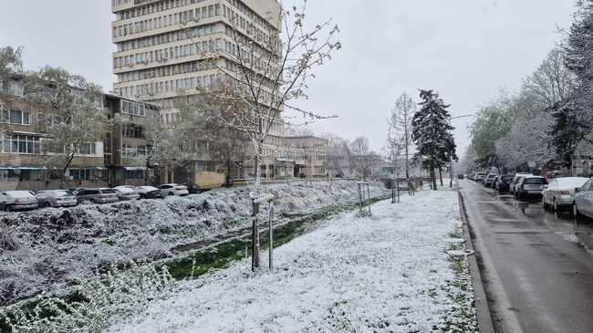 Пътните настилки в област Разград са мокри и заснежени