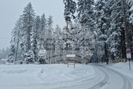 Боровец - снежна покривка