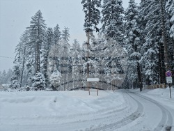Боровец - снежна покривка