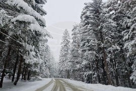 Боровец - снежна покривка