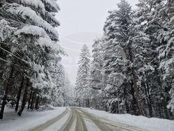 Боровец - снежна покривка