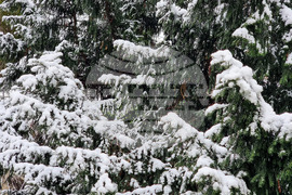 Варна - снеговалеж