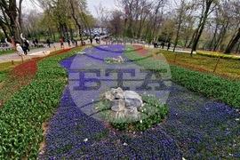 Турция - Истанбул - парк - лалета