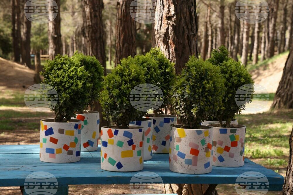 ГПБ: Грузия засилва контрола над брането на чемшир за Цветница