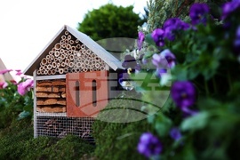 Седмица на гората - откриване