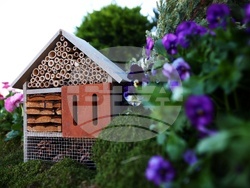 Седмица на гората - откриване