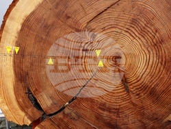 Седмица на гората - откриване