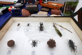 Седмица на гората - откриване