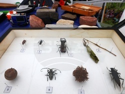 Седмица на гората - откриване